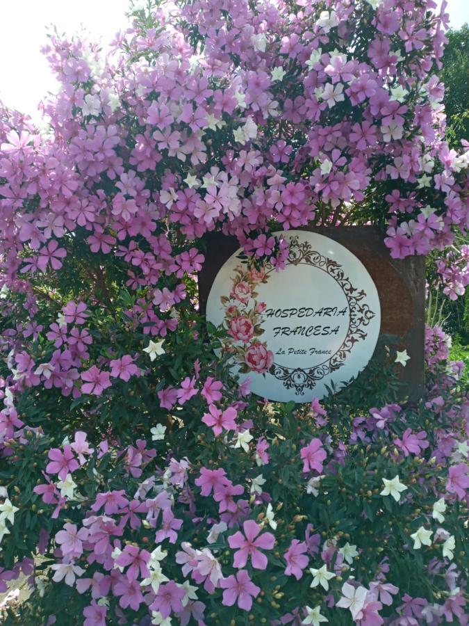 La Petite France Hotel Нова Петрополис Екстериор снимка